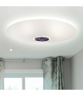 Aura ceiling lamp 80