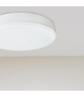 Loft ceiling lamp LED