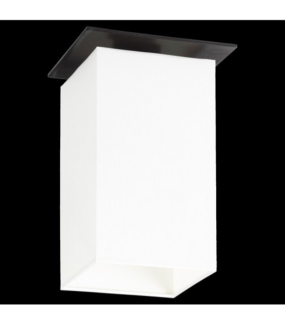 Vega ceiling lamp P-1