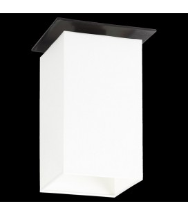 Vega ceiling lamp P-1